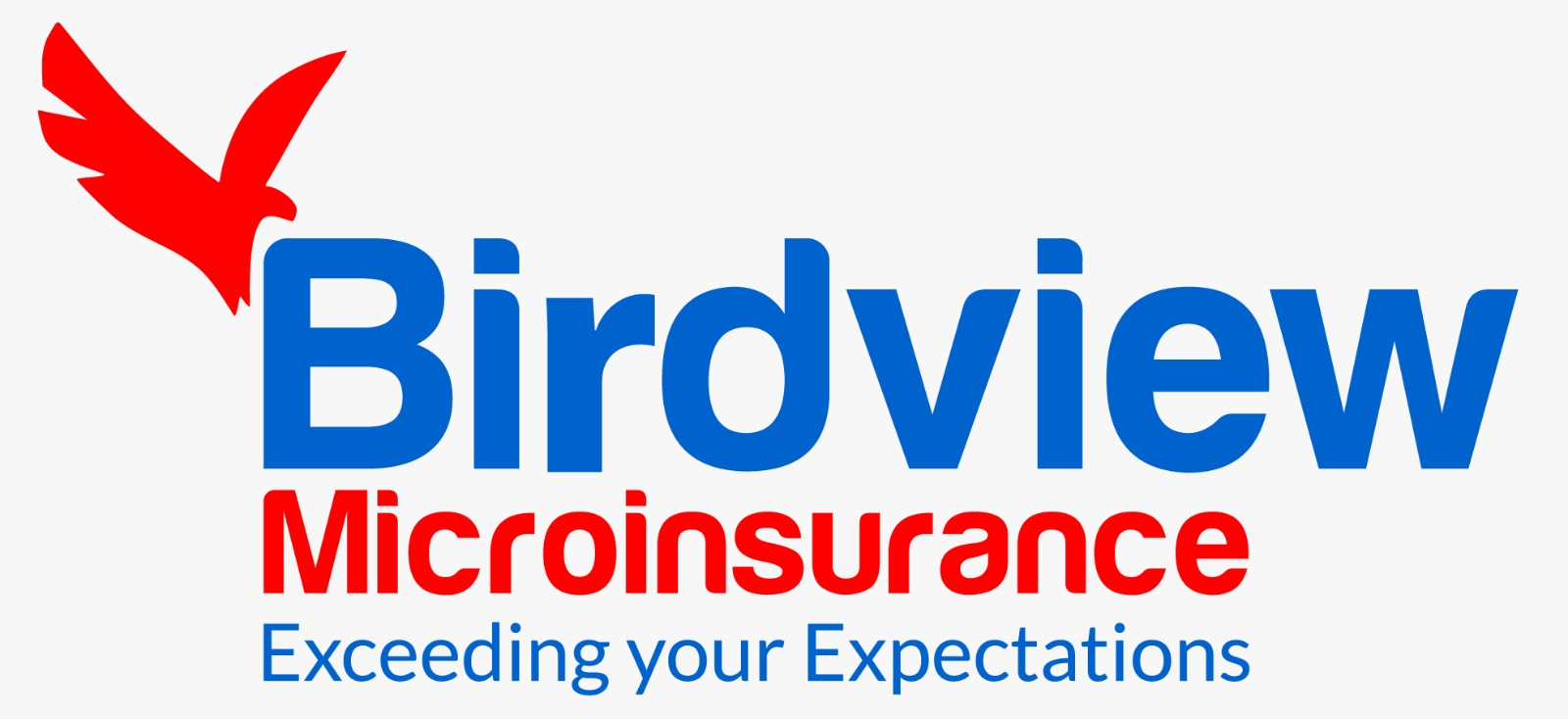 Birdview Microinsurance